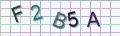 visual captcha